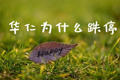 华仁为什么跌停_https://www.apanben.com_股市指导_第1张