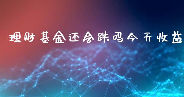 理财基金还会跌吗今天收益_https://www.apanben.com_国际财经_第1张