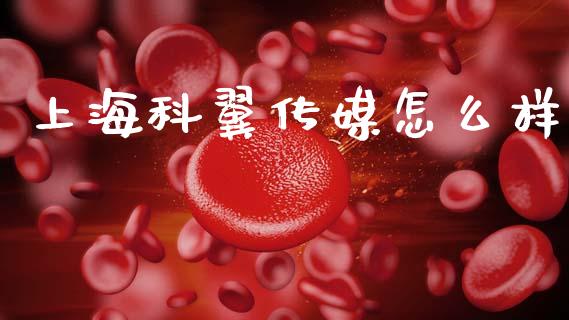 上海科翼传媒怎么样_https://www.apanben.com_期货学院_第1张