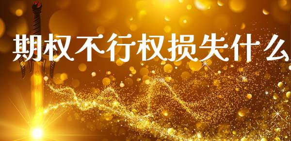 期权不行权损失什么_https://www.apanben.com_在线喊单_第1张