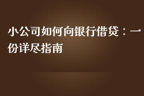 小公司如何向银行借贷：一份详尽指南_https://www.apanben.com_国际财经_第1张