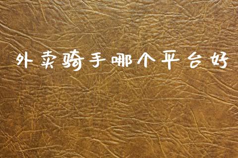 外卖骑手哪个平台好_https://www.apanben.com_在线喊单_第1张