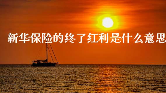 新华保险的终了红利是什么意思_https://www.apanben.com_国际期货_第1张