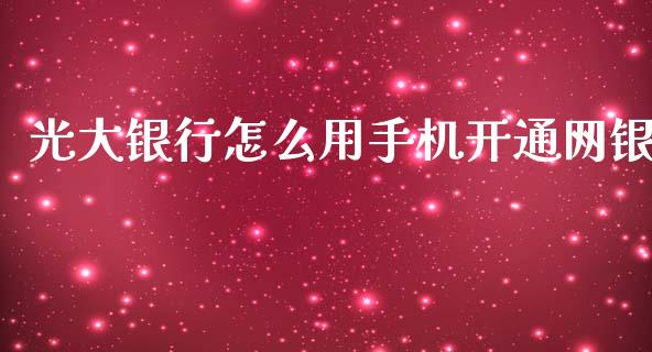 光大银行怎么用手机开通网银_https://www.apanben.com_股市指导_第1张