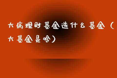 大病理财基金选什么基金（大基金是啥）_https://www.apanben.com_财经资讯_第1张