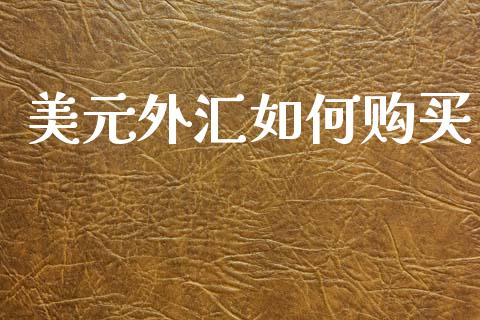美元外汇如何购买_https://www.apanben.com_在线喊单_第1张