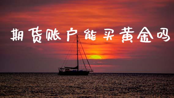 期货账户能买黄金吗_https://www.apanben.com_期货学院_第1张