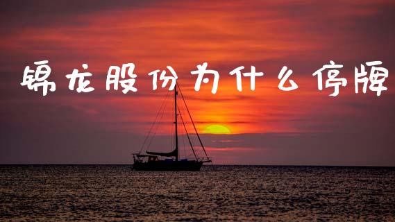 锦龙股份为什么停牌_https://www.apanben.com_期货学院_第1张