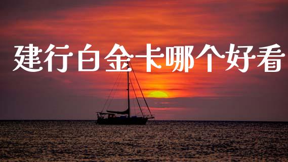 建行白金卡哪个好看_https://www.apanben.com_期货学院_第1张
