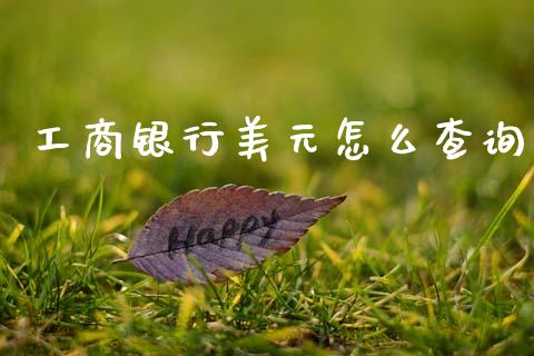 工商银行美元怎么查询_https://www.apanben.com_财经资讯_第1张