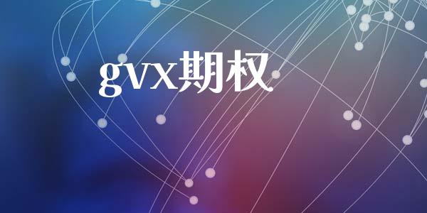 gvx期权_https://www.apanben.com_股票怎么玩_第1张