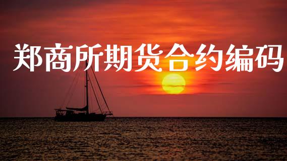 郑商所期货合约编码_https://www.apanben.com_股市指导_第1张