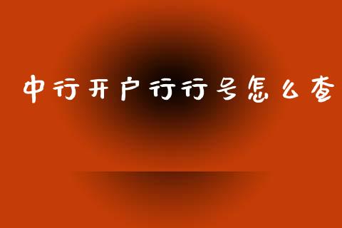 中行开户行行号怎么查_https://www.apanben.com_股市指导_第1张