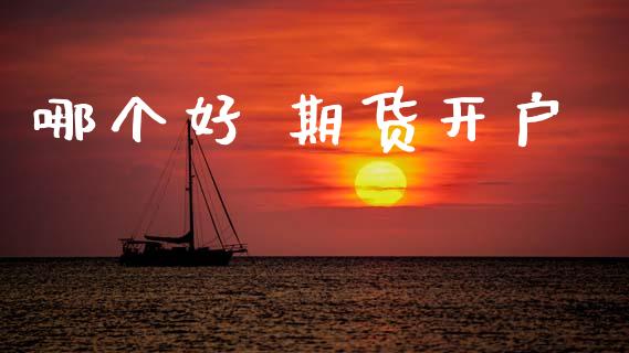 哪个好 期货开户_https://www.apanben.com_期货学院_第1张