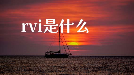 rvi是什么_https://www.apanben.com_财经资讯_第1张