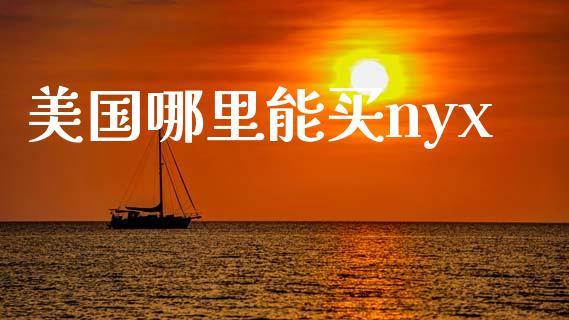 美国哪里能买nyx_https://www.apanben.com_财经资讯_第1张