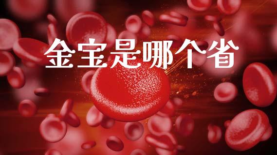 金宝是哪个省_https://www.apanben.com_财经资讯_第1张