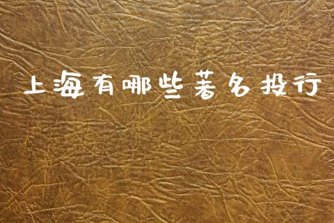 上海有哪些著名投行_https://www.apanben.com_国际财经_第1张