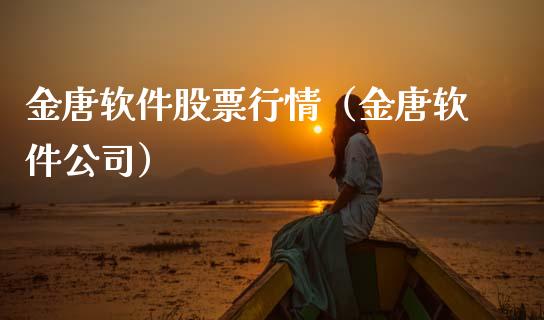 金唐软件股票行情（金唐软件公司）_https://www.apanben.com_股票怎么玩_第1张