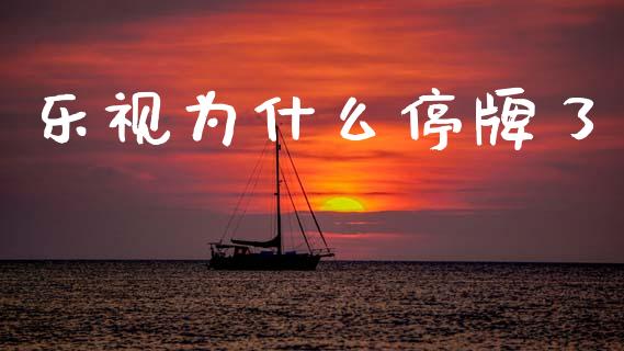 乐视为什么停牌了_https://www.apanben.com_股市指导_第1张