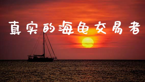 真实的海龟交易者_https://www.apanben.com_在线喊单_第1张