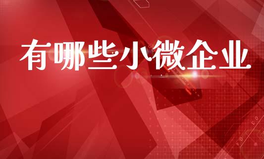 有哪些小微企业_https://www.apanben.com_在线喊单_第1张