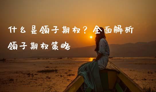 什么是领子期权?全面解析领子期权策略_国际期货_第1张_安贝财经网 什么是领子期权?全面解析领子期权策略_https://www.apanben.com_国际期货_第1张