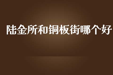 陆金所和铜板街哪个好_https://www.apanben.com_财经资讯_第1张