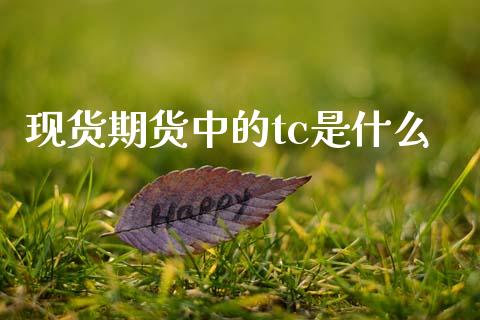 现货期货中的tc是什么_https://www.apanben.com_在线喊单_第1张