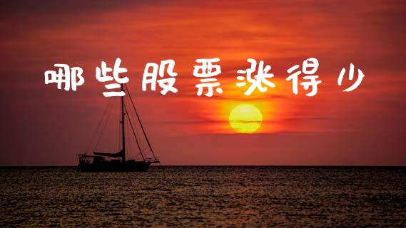 哪些股票涨得少_https://www.apanben.com_期货学院_第1张