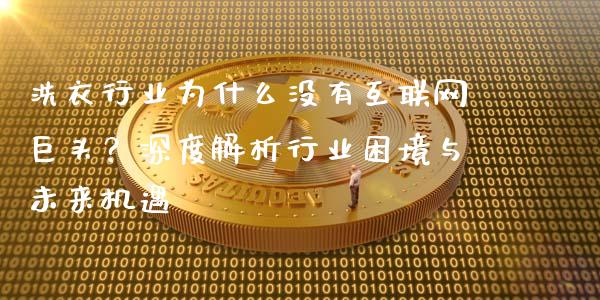 洗衣行业为什么没有互联网巨头？深度解析行业困境与未来机遇_https://www.apanben.com_股市指导_第1张