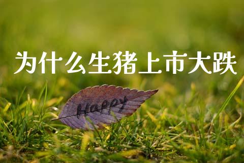 为什么生猪上市大跌_https://www.apanben.com_国际财经_第1张