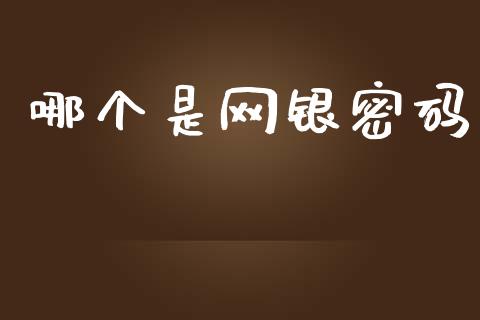 哪个是网银密码_https://www.apanben.com_期货学院_第1张