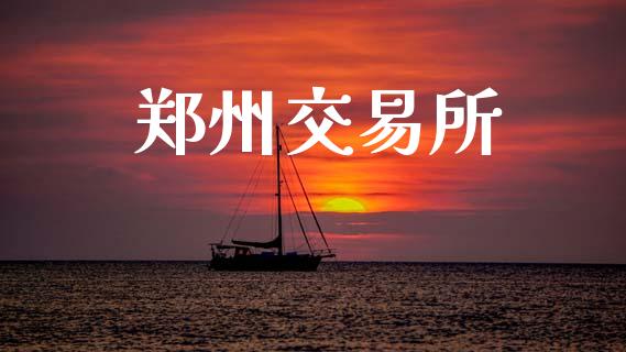 郑州交易所_https://www.apanben.com_财经资讯_第1张