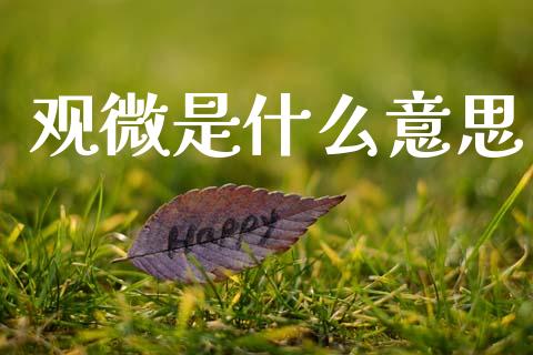 观微是什么意思_https://www.apanben.com_国际期货_第1张