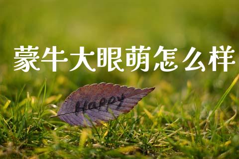 蒙牛大眼萌怎么样_https://www.apanben.com_期货学院_第1张