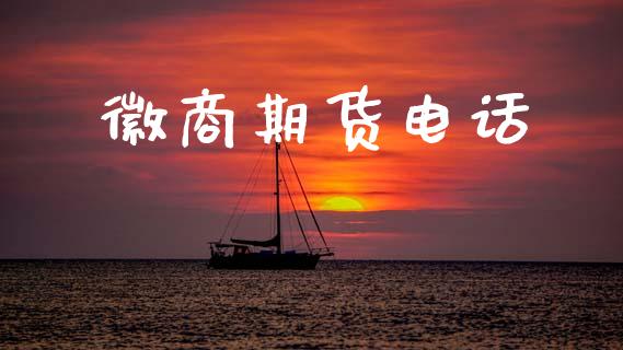 徽商期货电话_https://www.apanben.com_在线喊单_第1张