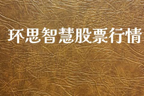 环思智慧股票行情_https://www.apanben.com_股市分析_第1张