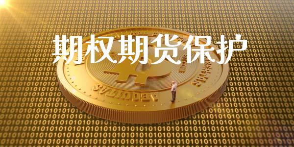 期权期货保护_https://www.apanben.com_期货学院_第1张