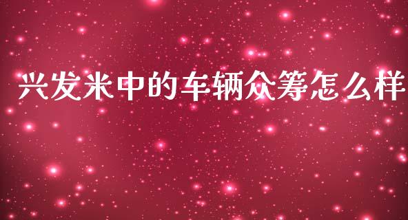 兴发米中的车辆众筹怎么样_https://www.apanben.com_股票怎么玩_第1张