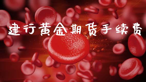 建行黄金期货手续费_https://www.apanben.com_期货学院_第1张
