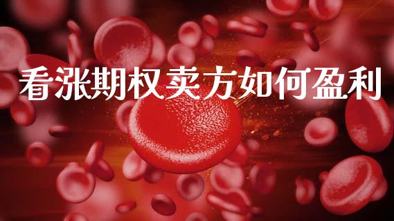 看涨期权卖方如何盈利_https://www.apanben.com_国际期货_第1张