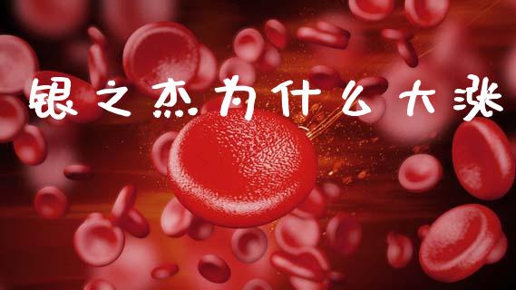 银之杰为什么大涨_https://www.apanben.com_国际期货_第1张