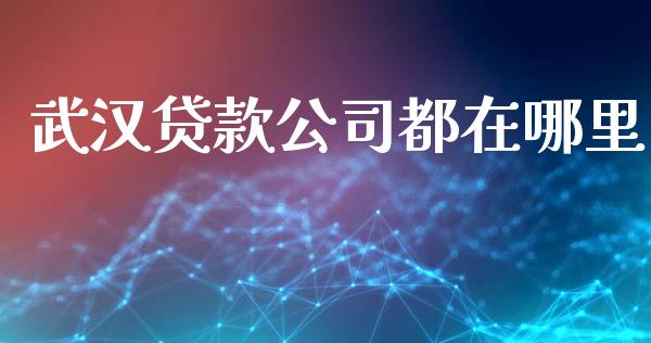 武汉贷款公司都在哪里_https://www.apanben.com_期货学院_第1张