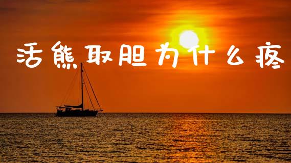 活熊取胆为什么疼_https://www.apanben.com_期货学院_第1张