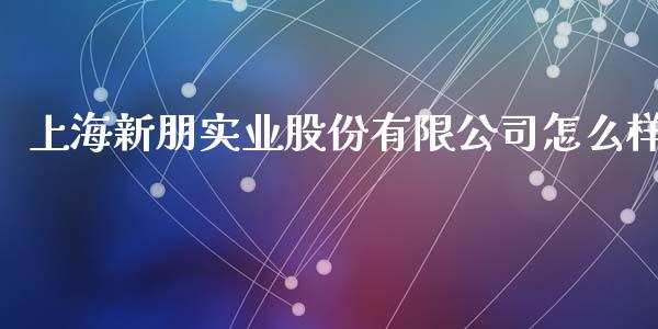 上海新朋实业股份有限公司怎么样_https://www.apanben.com_在线喊单_第1张