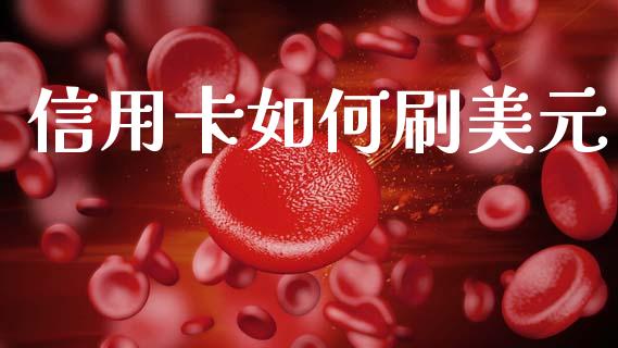 信用卡如何刷美元_https://www.apanben.com_期货学院_第1张