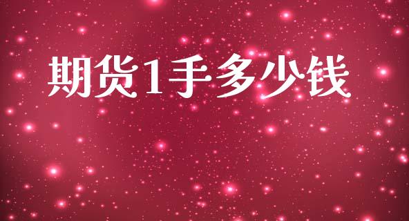 期货1手多少钱_https://www.apanben.com_国际期货_第1张