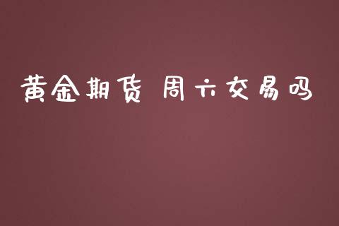 黄金期货 周六交易吗_https://www.apanben.com_国际期货_第1张