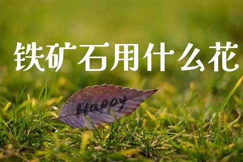 铁矿石用什么花_https://www.apanben.com_国际财经_第1张